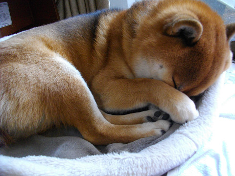 2010.12.28.30003.jpg