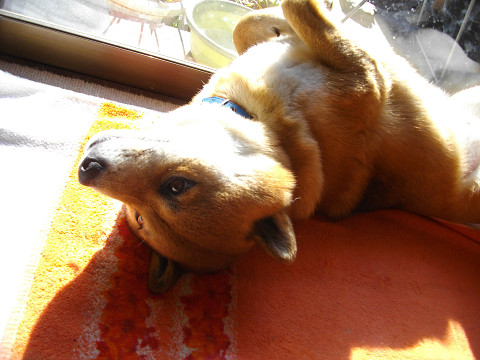 2010.12.28.40004.jpg