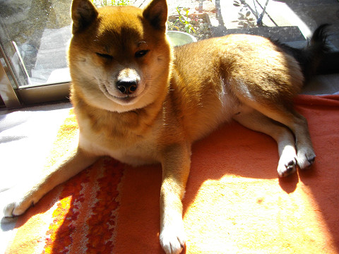 2010.12.28.50005.jpg