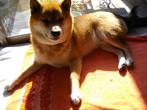 2010.12.28.60006.jpg