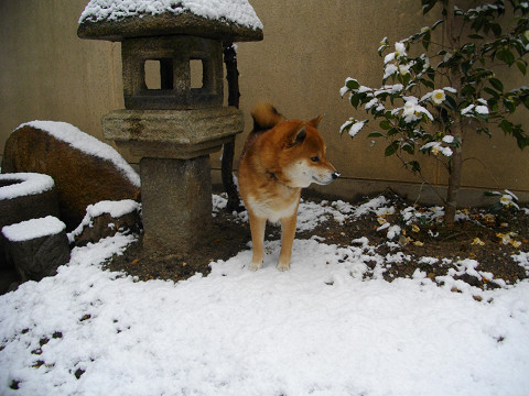 2010.12.30.10001.jpg