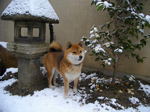 2010.12.30.20002.jpg