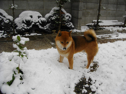 2010.12.30.30003.jpg