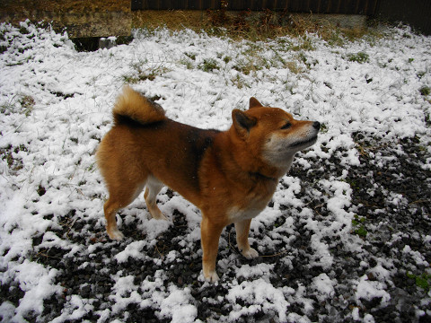 2010.12.30.40004.jpg