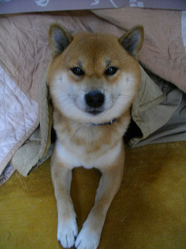 2010.12.4.10001.jpg