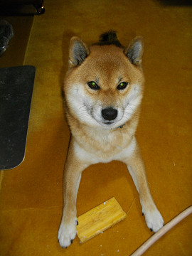 2010.12.7.10001.jpg