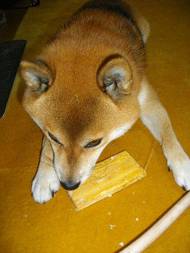 2010.12.7.20002.jpg