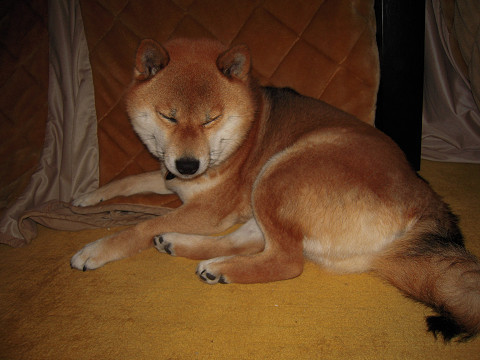 2010.3.16.20002.jpg
