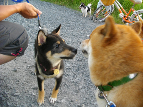 2010.8.1.10001.jpg