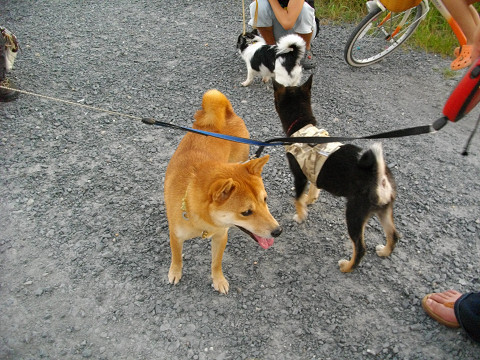 2010.8.1.20002.jpg