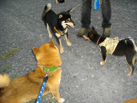 2010.8.1.30003.jpg