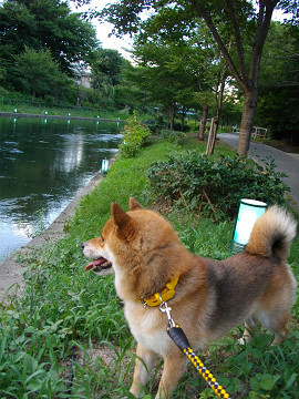 2010.8.10.10004.jpg