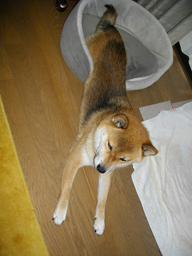 2010.8.25.10001.jpg