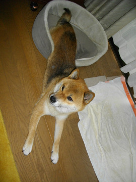 2010.8.25.20002.jpg