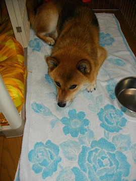 2010.8.280001.jpg