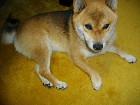 2010.9.15.10001.jpg