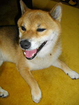 2010.9.15.20002.jpg
