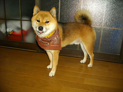 2010.9.19.10001.jpg