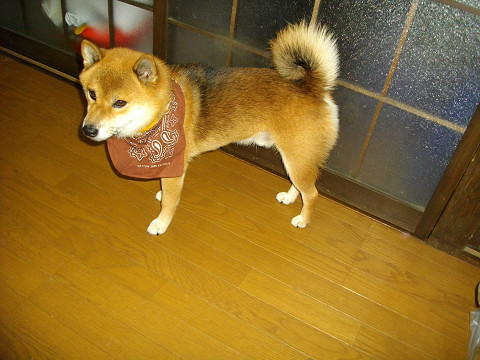 2010.9.19.20002.jpg