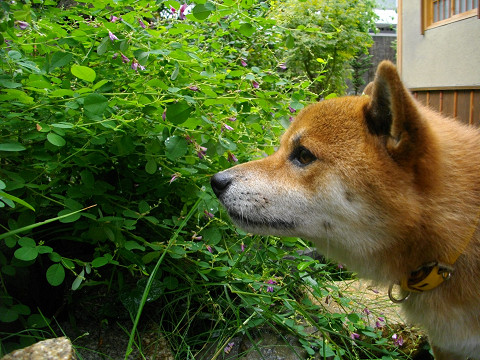 2010.9.24.10001.jpg