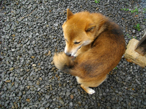 2010.9.24.20002.jpg