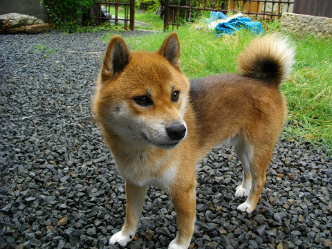2010.9.25.10004.jpg