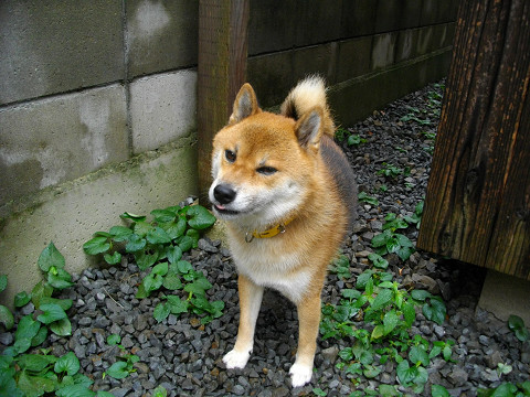2010.9.25.20005.jpg