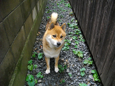 2010.9.25.30006.jpg