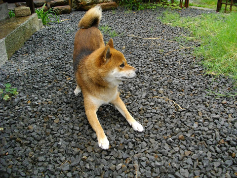 2010.9.25.40007.jpg