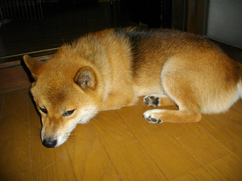 2010.9.4.10001.jpg