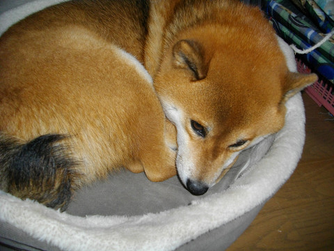 2011.1.7.10001.jpg