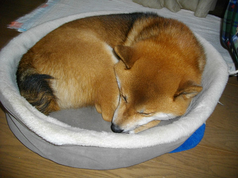 2011.1.7.20002.jpg