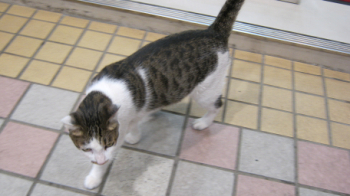 2011.10.26.00+1.jpg