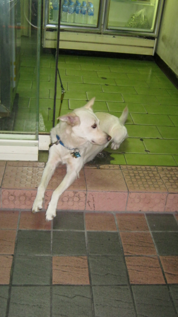 2011.10.26.01+1.jpg