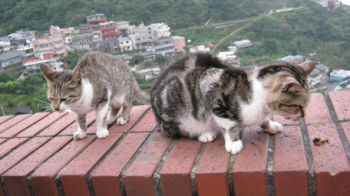 2011.10.26.03+1.jpg