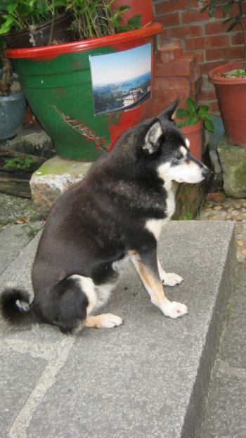 2011.10.26.04+1.jpg