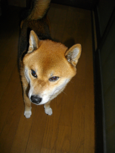 2011.10.3100.jpg