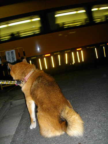 2011.10.3101.jpg