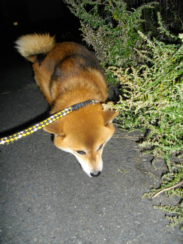 2011.10.3102.jpg