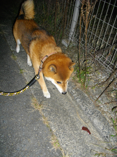 2011.10.3103.jpg