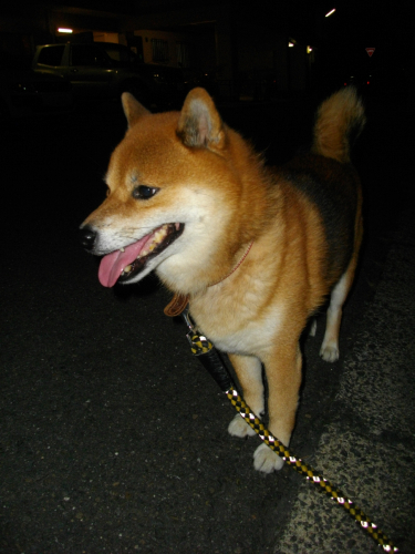 2011.10.3104.jpg