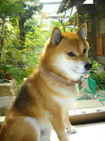 2011.11.11.01.jpg