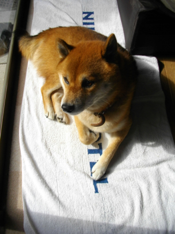 2011.11.11.02.jpg