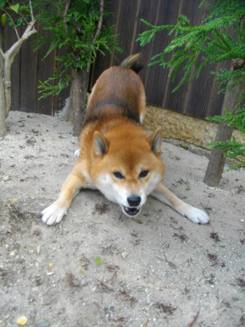 2011.11.28.01+1.jpg