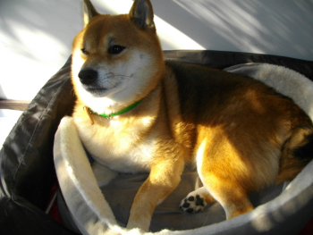 2011.11.28.04+1.jpg