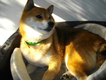 2011.11.28.05+1.jpg