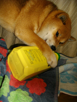 2011.2.1.10001.jpg