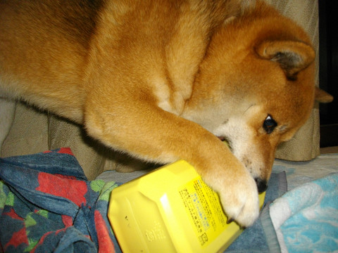 2011.2.1.20002.jpg