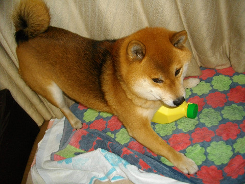 2011.2.1.30003.jpg