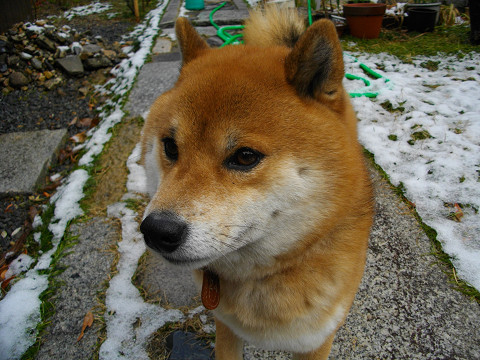 2011.2.18.10001.jpg